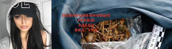 спайс Дмитров