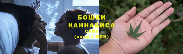 гидропоника Дмитриев