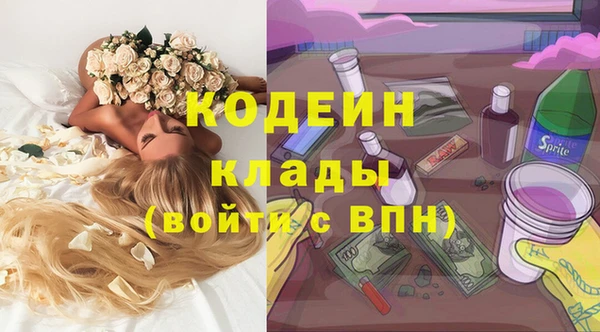 гидропоника Дмитриев