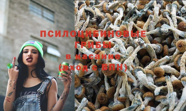 гидропоника Дмитриев