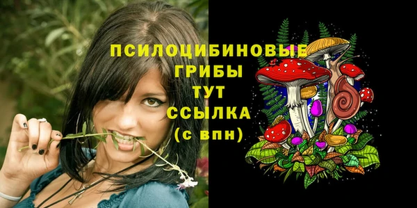 спайс Дмитров