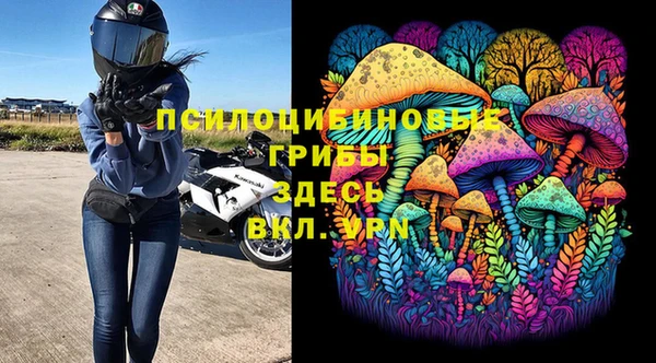 спайс Дмитров